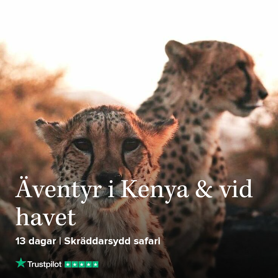 Kenya & Watamu