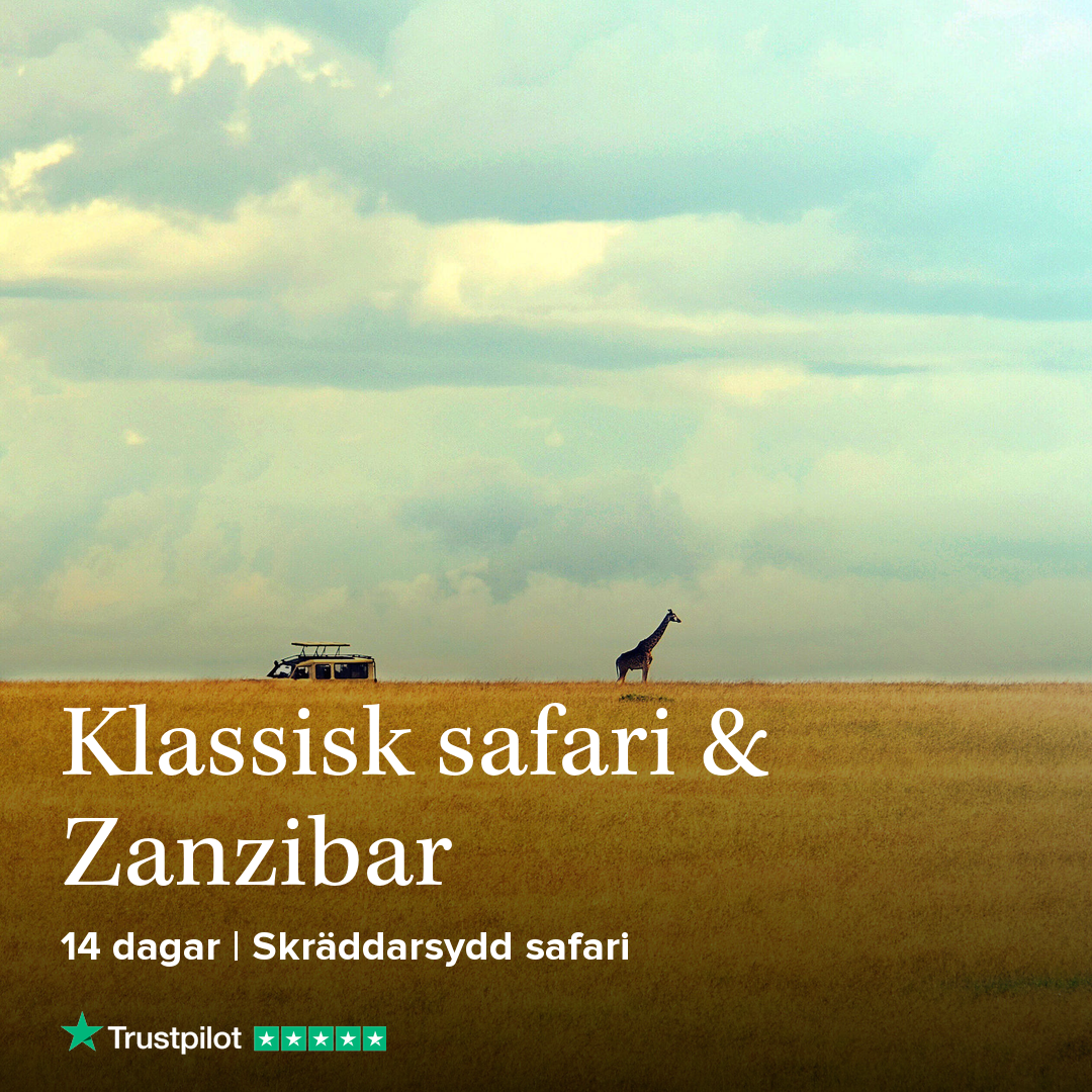 Kenya & Zanzibar